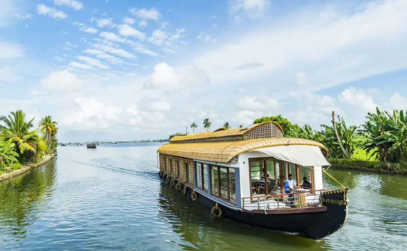 Backwaters & Beaches: A Complete Kerala Travel Guide