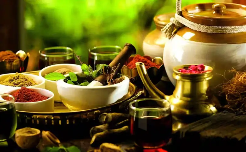 India’s Best Wellness Retreats