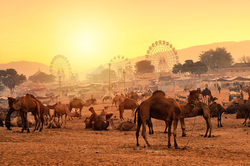 Golden Triangle Tour With Pushkar Fair